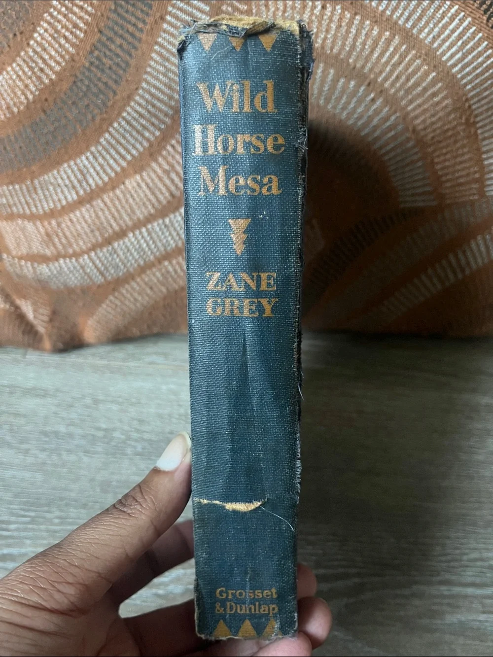 Wild Horse Mesa by Zane Grey 1924